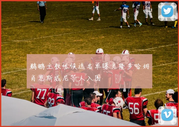 鹈鹕主教练候选名单曝光隆多哈姆肖恩斯威尼等人入围