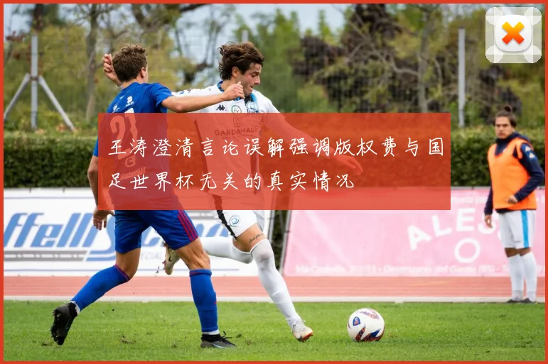 王涛澄清言论误解强调版权费与国足世界杯无关的真实情况